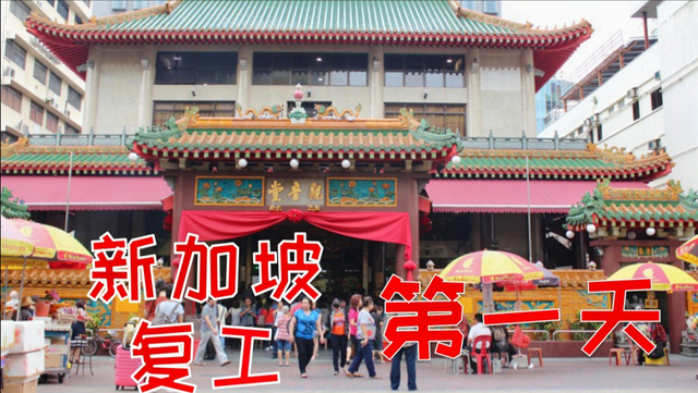 Vlog 新加坡复工第一天#西瓜新人#