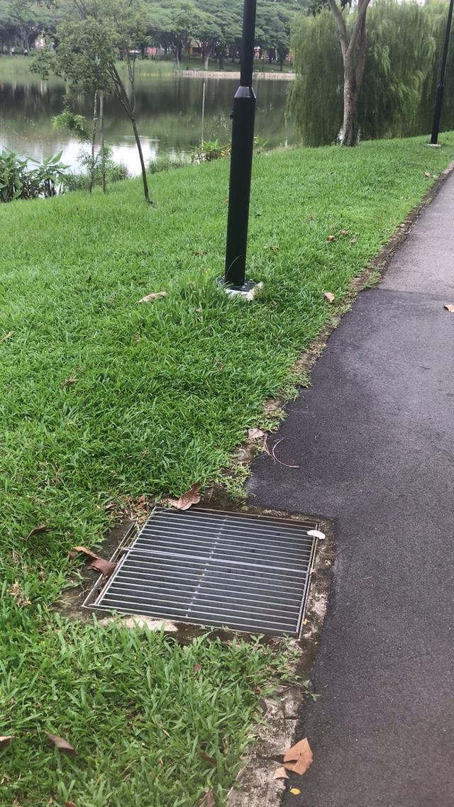 清晨新加坡🇸🇬（人们的晨练）