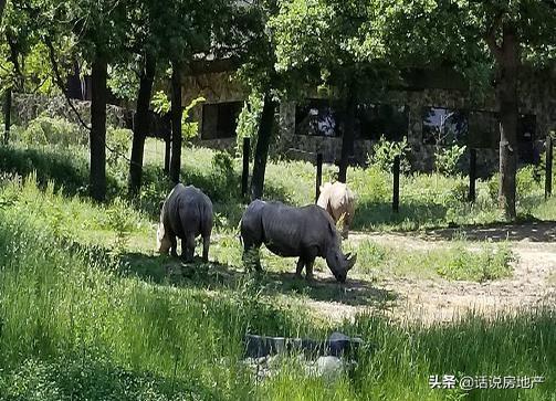 世界十大最佳动物园排行，奥马哈动物园、惠灵顿动物园很不错