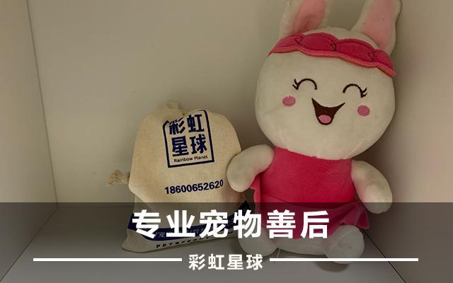 彩虹星球：如何挑选靠谱的宠物火化