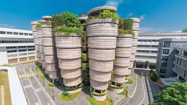 新加坡留学丨如何申请新加坡本科大学？