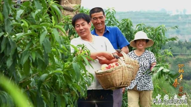 天水首部乡村快闪《桃香秦安》正式发布