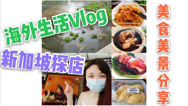 海外生活Vlog#27: |雨中美景|新加坡网红美食探店|超市买到榴莲✌