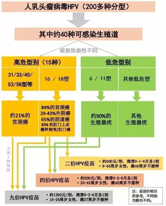 22岁女孩癌症晚期，网友却在嘲笑她性生活混乱