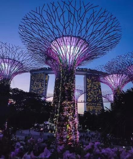 旧时光——新加坡的灯光秀