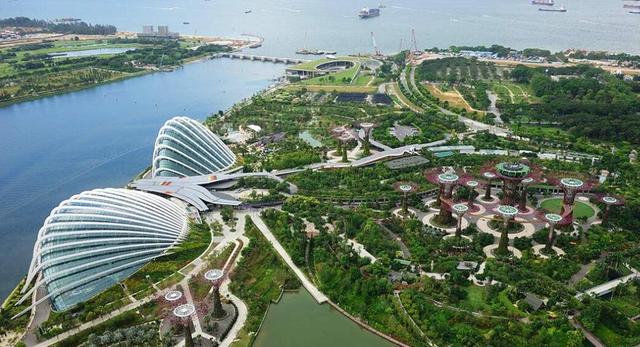 真拼了！新加坡滨海湾花园半年票仅需20块，不限次数