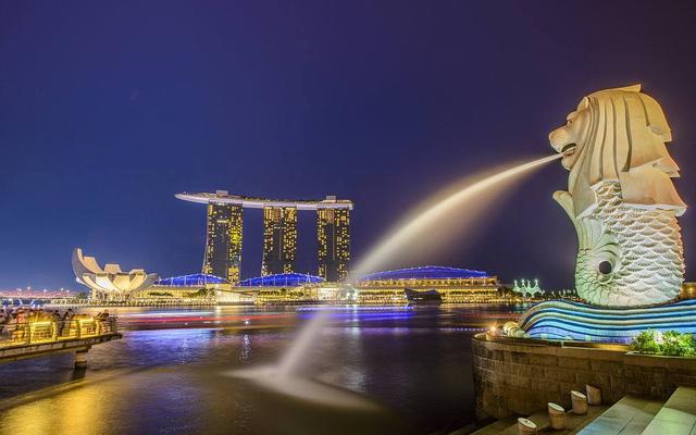 向新加坡学什么？