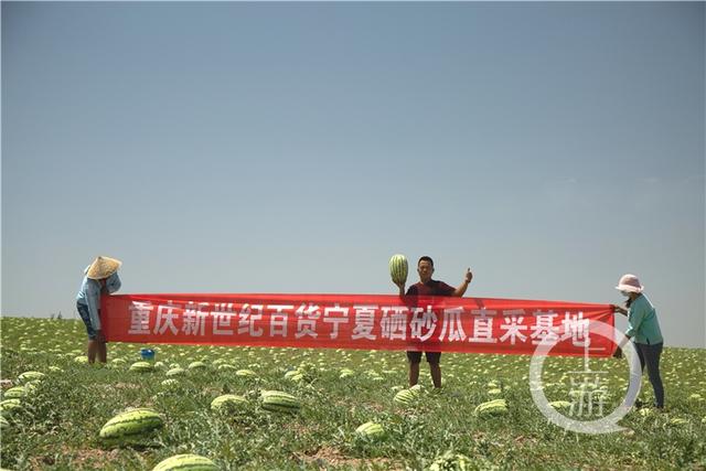 基地直采宁夏硒砂瓜在重百新世纪超市上市了