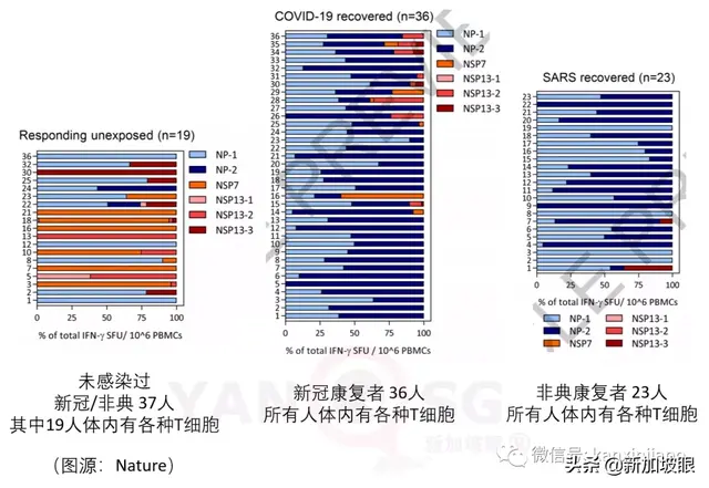 新加坡每日疫情报告：新增327，累计47453