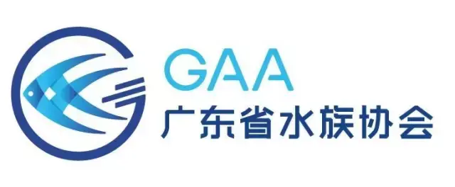 水族新市场，大家为何一致选中它？