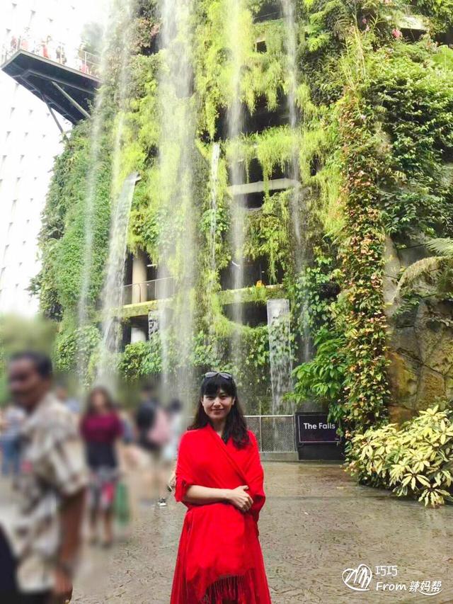 新加坡亲子游——滨海湾花园双馆(花穹馆，云雾林)