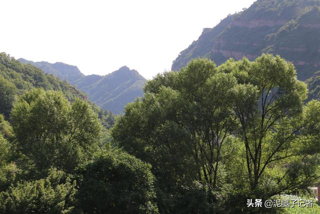 河北有个长寿村，全村人均寿命85岁，80岁只能算“小老弟”