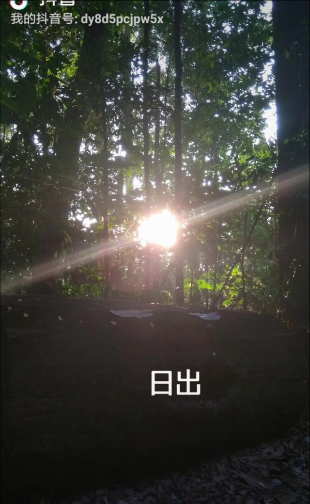 新加坡 - 武吉知马上看日出