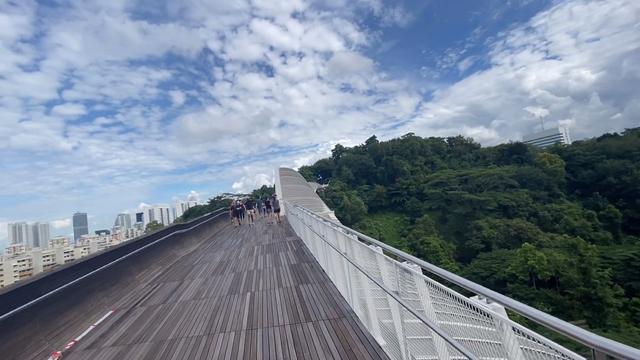 来逛逛俯瞰新加坡的空中走廊！