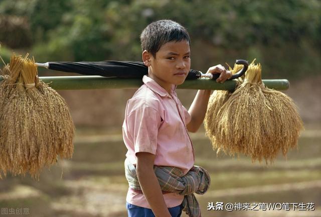 东南亚，新加坡历史、政治、经济学之正文（二百七十二）