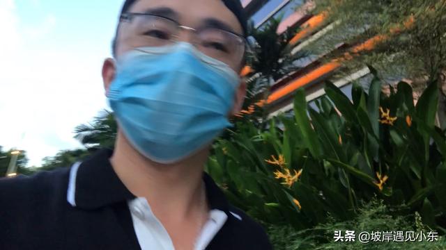 简单聊一下新加坡的街景和绿化