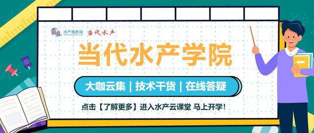 这条鱼不得了！它是众多渔业品种中的DHA之王，年产值超30亿元