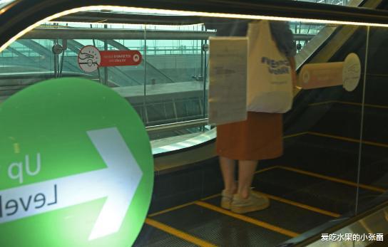 新加坡遇难我国不再援助，这就是大国风范？网友：请不要道德绑架