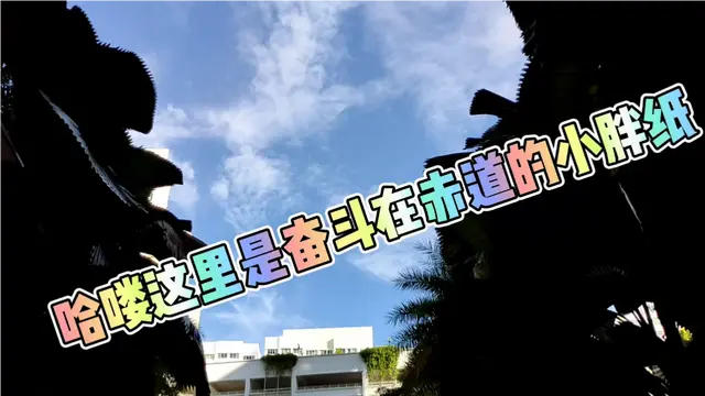 新加坡小胖纸游泳记，浅谈新加坡公寓。阳光明媚来一起玩水啊