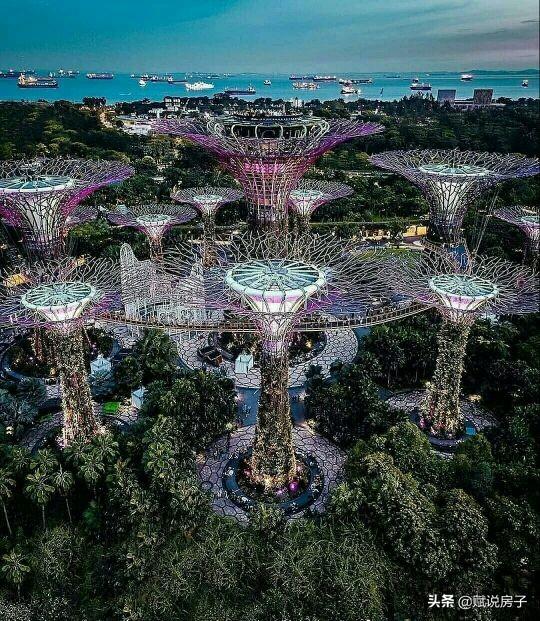 分享一组新加坡花园的房子