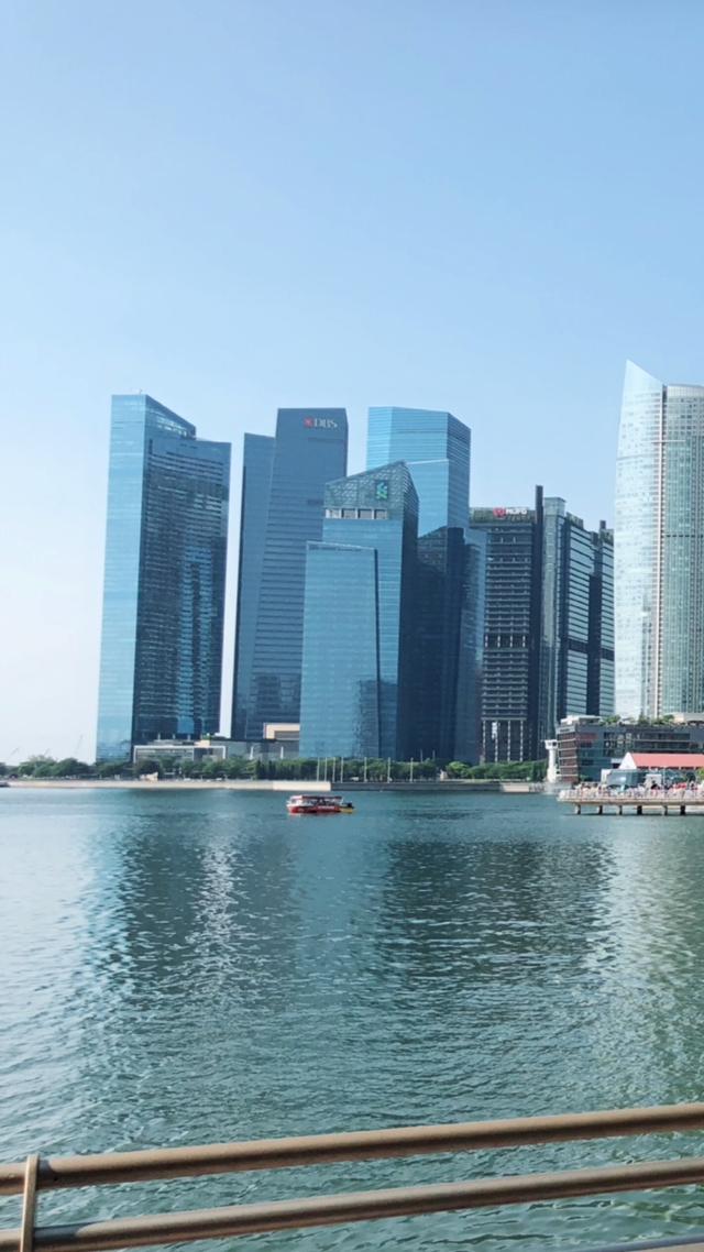 一张照片可以做出大片的感觉……美死了新加坡🇸🇬