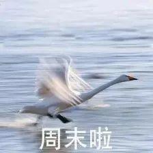 病毒也要挖钢丝，感染风险比前几周都要高！法航最新航班信息出炉