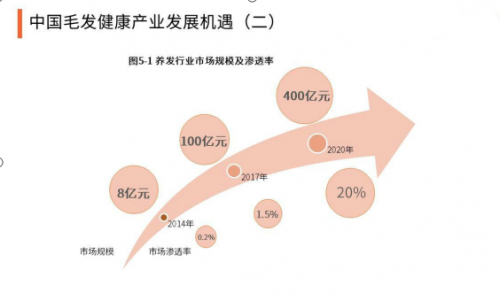 新生植发的头皮养护和3D植发技术，打造国人毛发健康品牌
