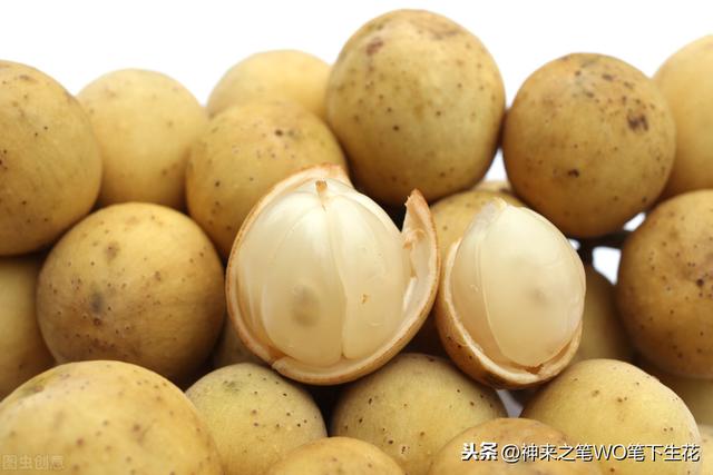 东南亚，新加坡历史、政治、经济学之正文（四百零一）