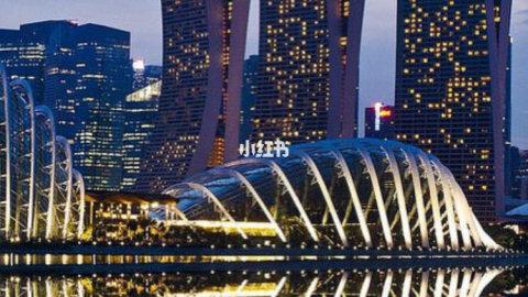 🇸🇬新加坡人带你逛潮牌店！新加坡潮牌攻略🤗