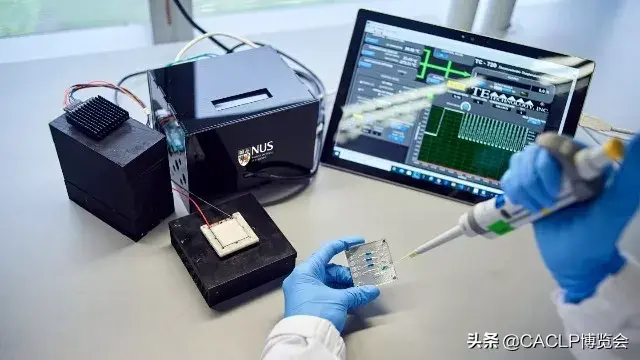 1小时出结果，新加坡研发人员再次挑战不可能