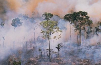 北极比北京还热？美国邮递员被热死，人类能挺过这个夏天吗