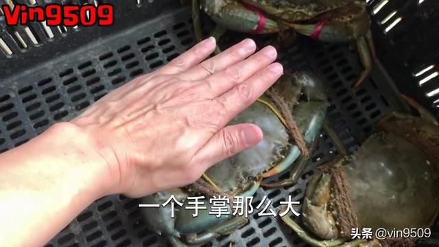 来新加坡旅游又喜欢吃螃蟹的朋友，可别错过他家的黑胡椒螃蟹哦！