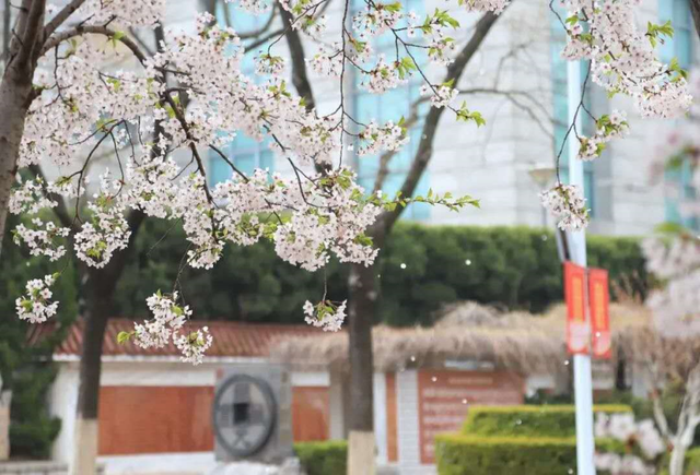 盘点!2020年上半年，大连这所高校发表7项成果，涵盖国际顶级期刊