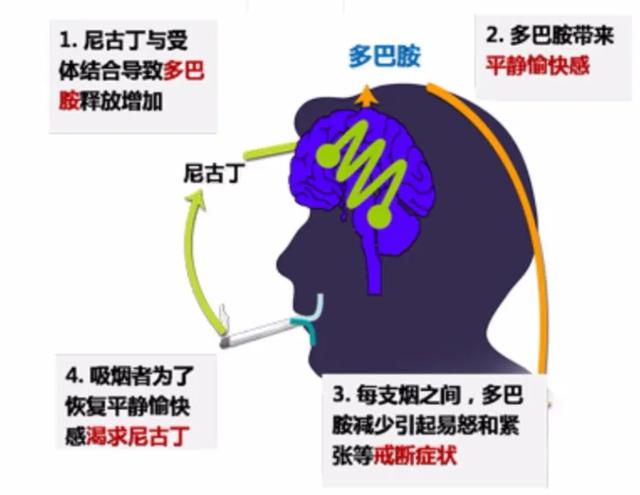 一个万亿市场正被挖掘之中——电子烟的投资逻辑分析