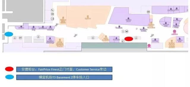 新加坡机场T3柜台恢复，无接触值机防疫黑科技刷爆朋友圈