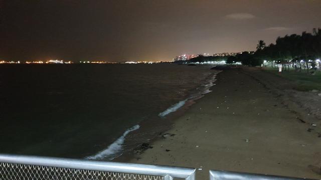 新加坡东海岸公园夜钓人好多