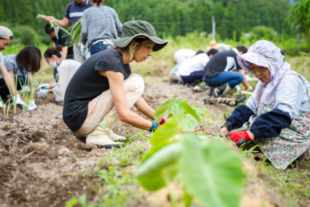 城乡融合背景下，日本城市如何打造连接居民和农业的新业态？