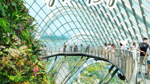 花园城市真不是盖的～新加坡最仙打卡地