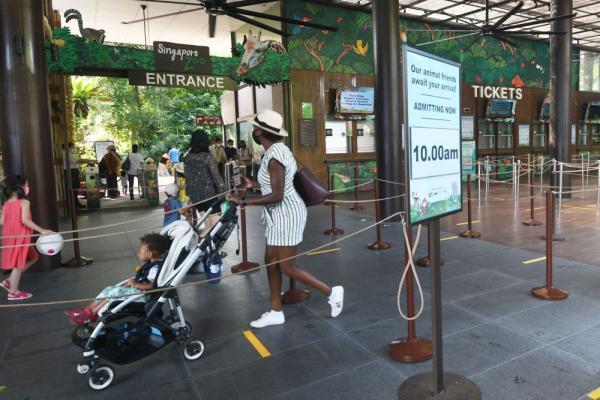 新加坡动物园向公众重新开放
