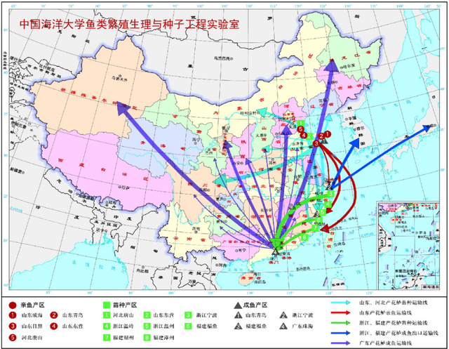 这条鱼不得了！它是众多渔业品种中的DHA之王，年产值超30亿元