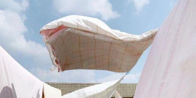 2020iPhone摄影大赛结果公布，中国摄影师交出优异答卷