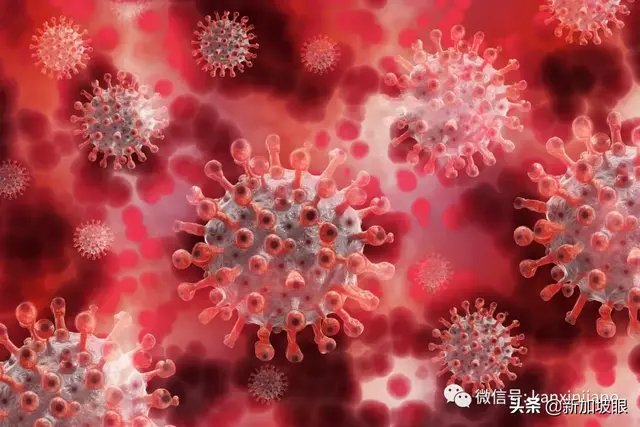 新加坡专家：新冠在空气传播的机率比水痘低