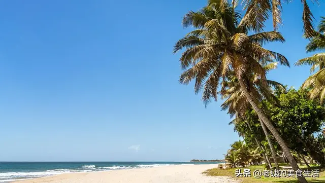 奇葩！海南鸡饭，风靡新加坡近百年，海南人却不知为何物。