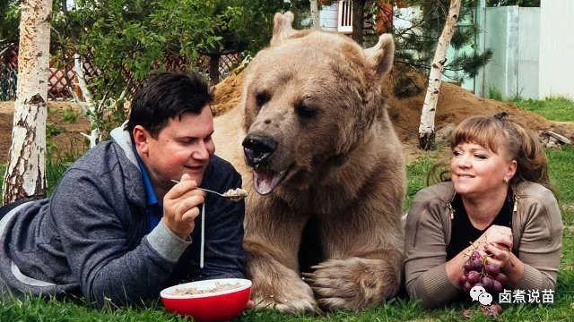 最新全球各个国家和地区的狂犬病分级