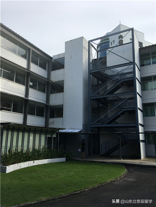 办理签证，新加坡留学多数学生都会踩到的“雷区”！