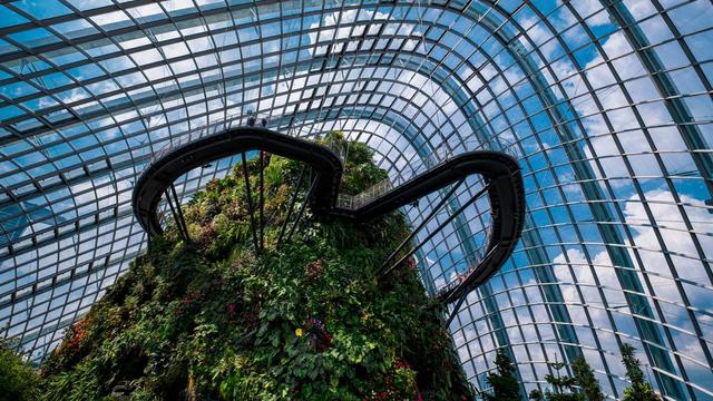 《人工与自然的融合》———新加坡花穹、云雾林