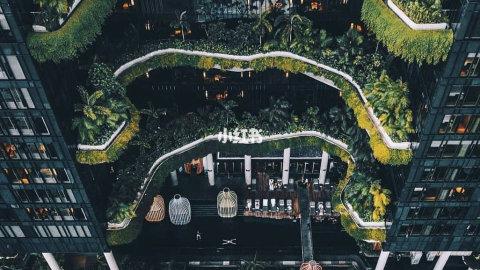 种草刷爆ins的花园酒店🌿新加坡必打卡地标！