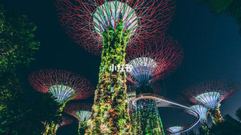 新加坡攻略🇸🇬一天如何玩转狮城新加坡🦁️