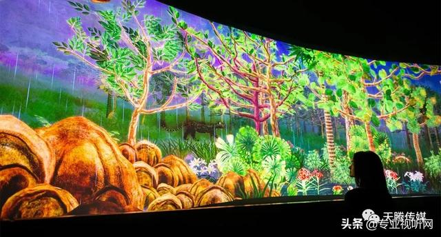 松下投影机约你到新加坡国家博物馆走入《森林的故事》