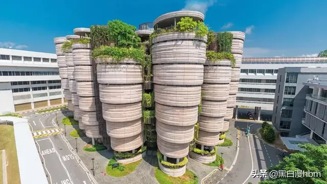 去新加坡留学好吗？新加坡留学的优势有哪些？